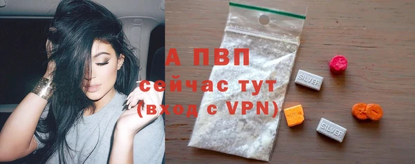 прущие грибы Белоозёрский