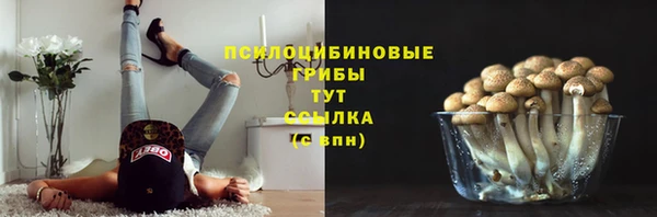 мескалин Белокуриха
