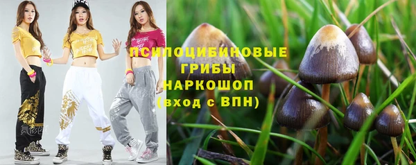 прущие грибы Белоозёрский