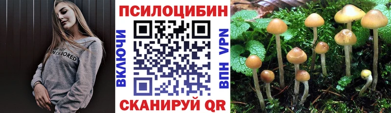 Галлюциногенные грибы мухоморы Волосово