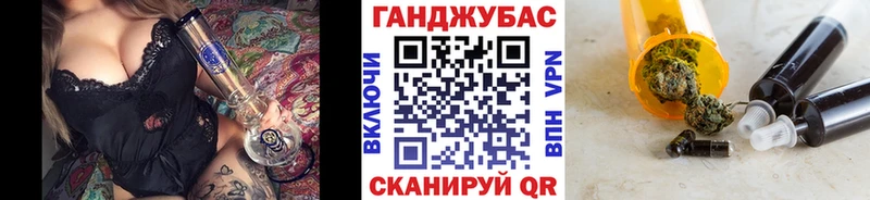 где купить наркотик  Волосово  omg зеркало  Конопля ГИДРОПОН 